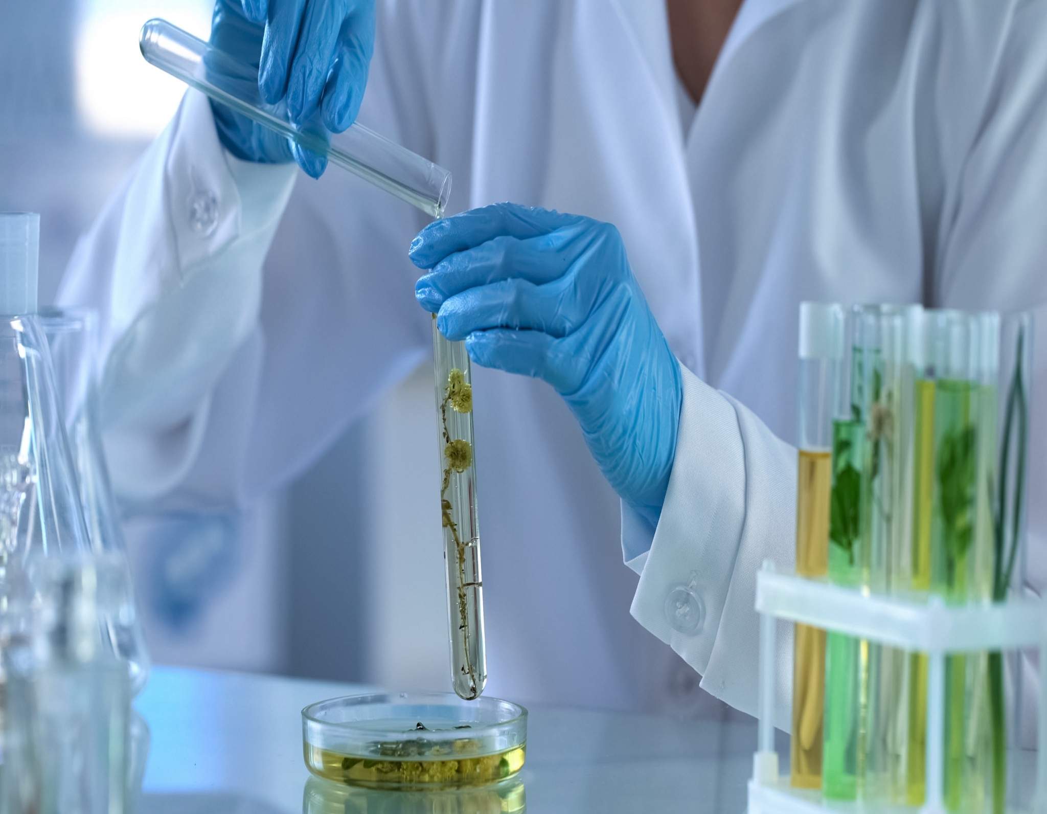  Custom Formulations